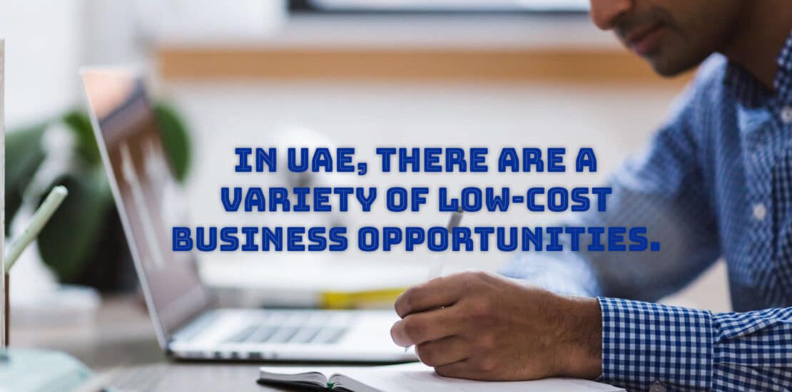 low cost business opportunities