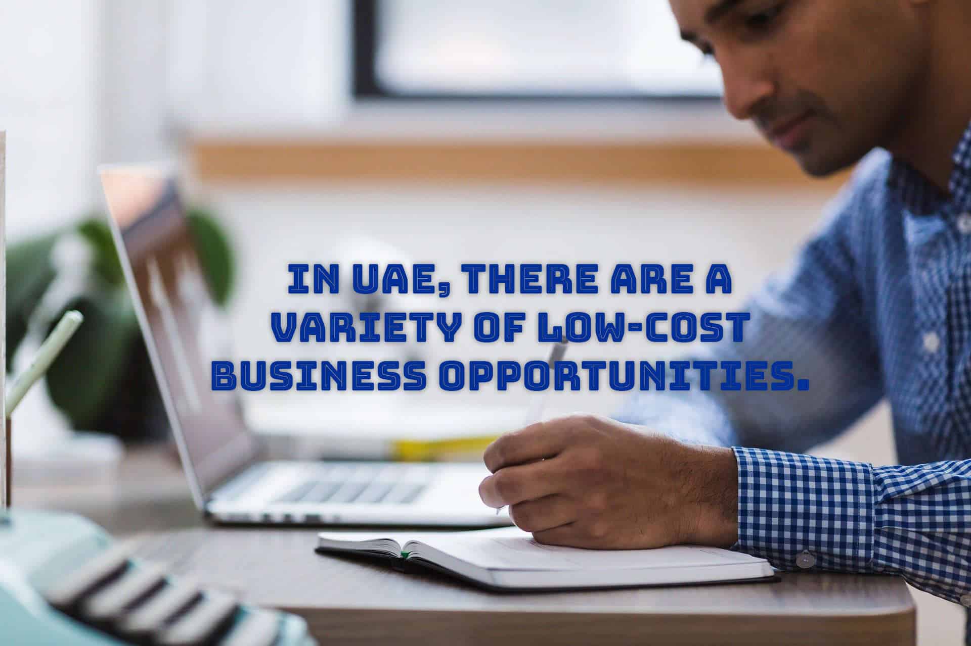 low cost business opportunities
