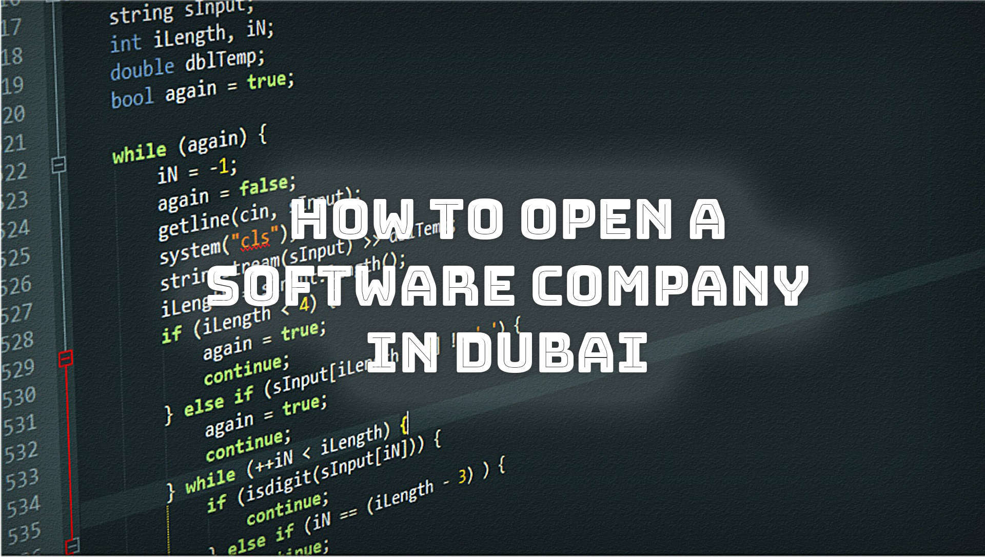 software company UAE