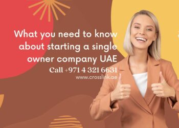 Single Owner Company UAE