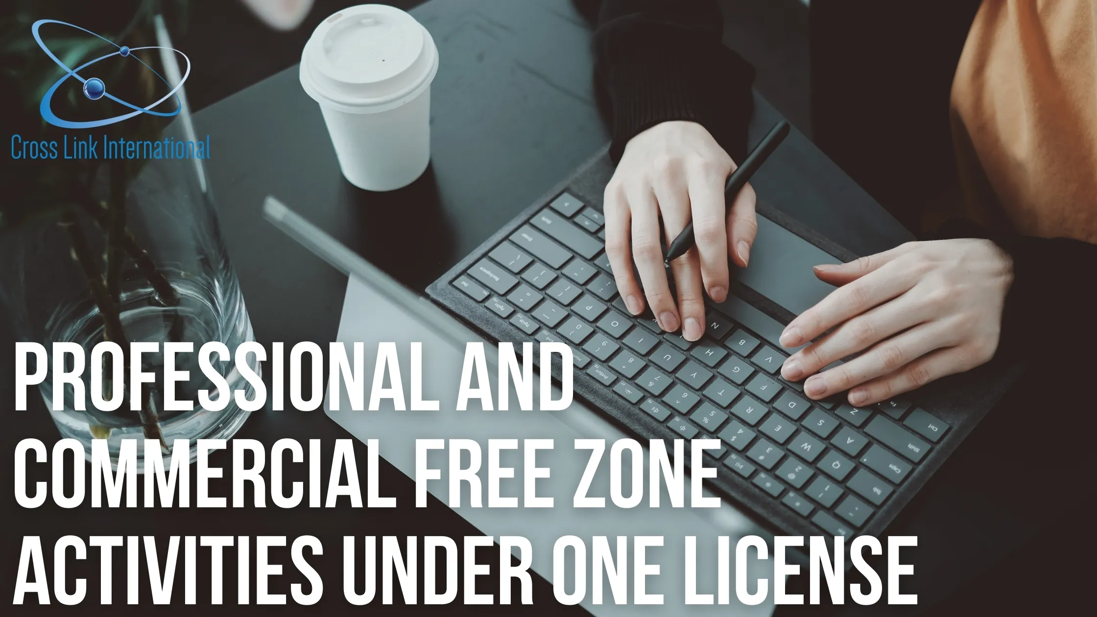 mix-professional-commercial-license-uae-free-zone mix-professional-commercial-license-uae-free-zone